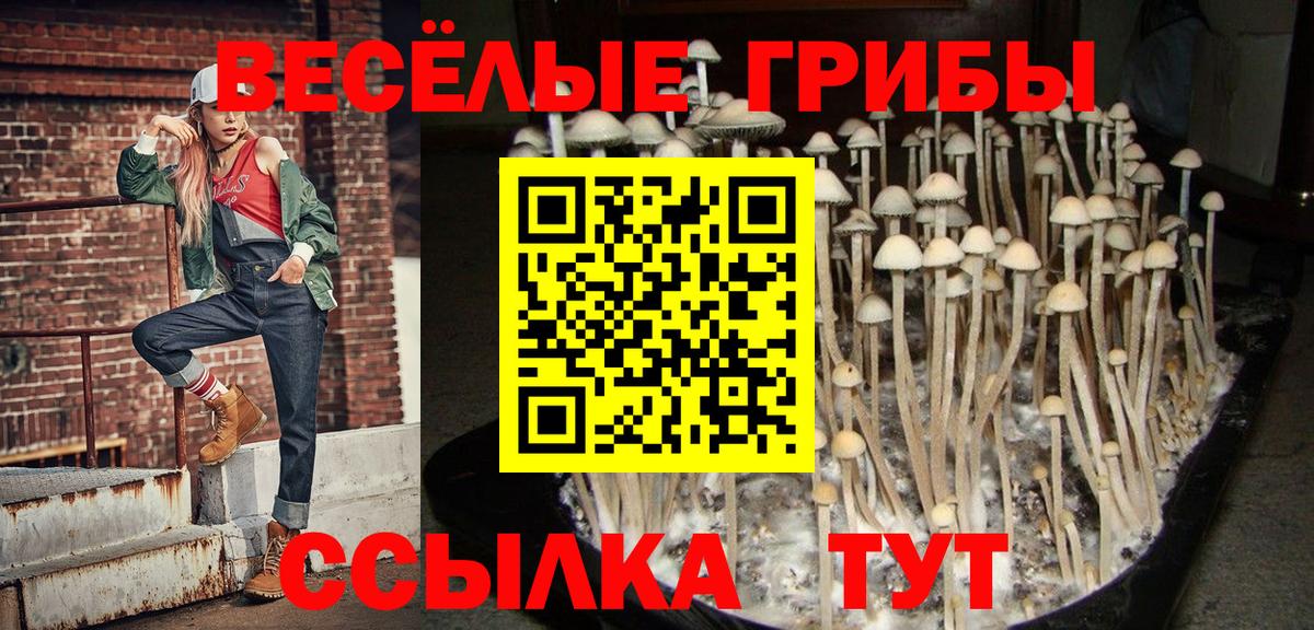 Галлюциногенные грибы Magic Shrooms Ногинск