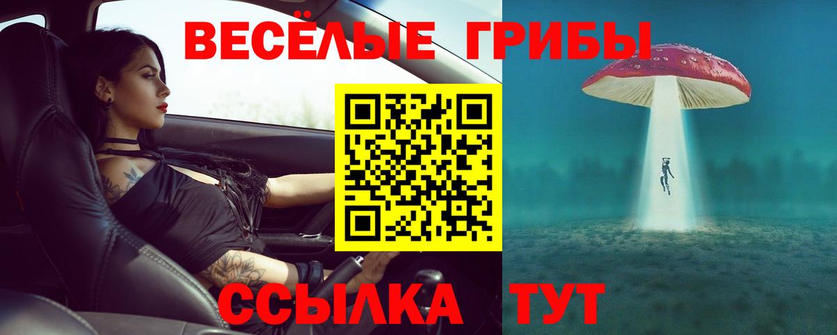 Псилоцибиновые грибы MAGIC MUSHROOMS  Галлюциногенные грибы Psilocybine cubensis  Ногинск  Вход с VPN 