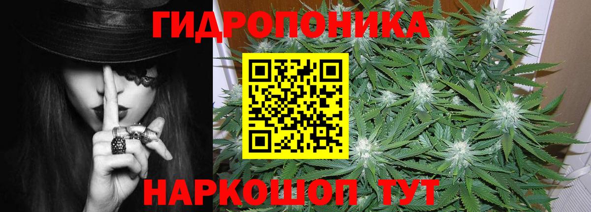 Конопля план Ногинск